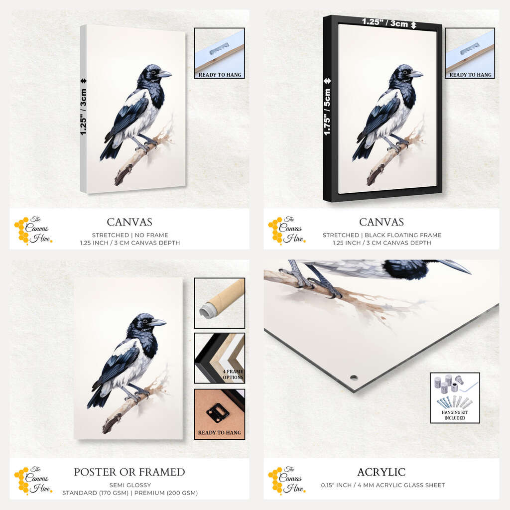 Australian Native Bird Magpie Water Colour | Australiana Wall Art Prints - The Canvas Hive