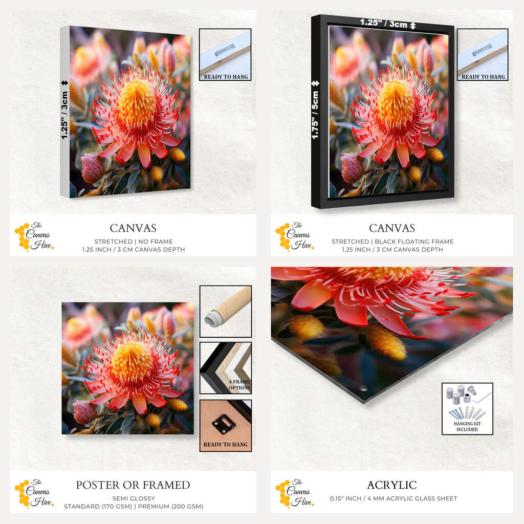 Australian Native Flower Banksia | Australiana Wall Art Prints - The Canvas Hive