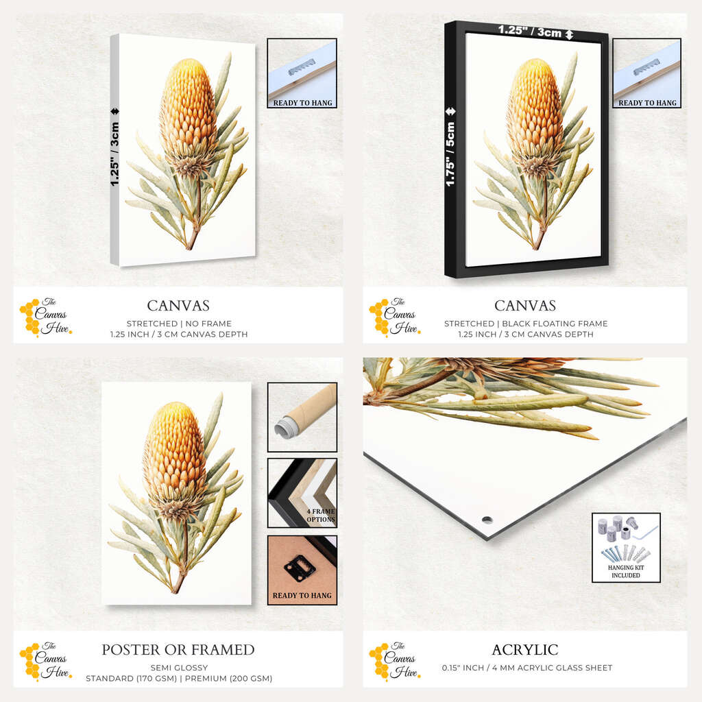 Banksia Watercolor Print | Australiana Wall Art Prints - The Canvas Hive