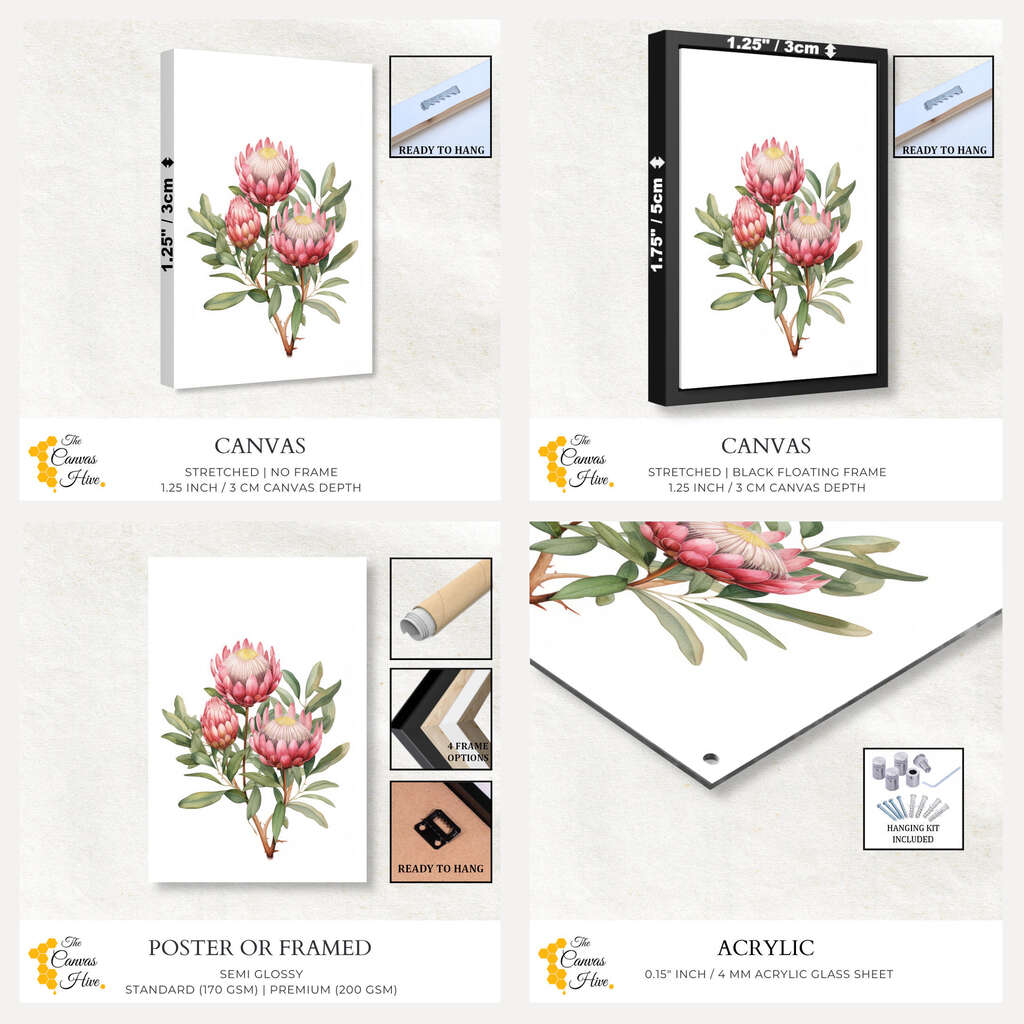Botanical Beauty: Pink Protea Print | Australiana Wall Art Prints - The Canvas Hive