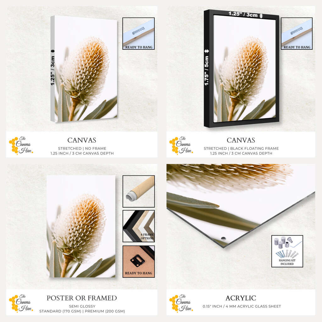 Botanical Beauty | Australiana Wall Art Prints - The Canvas Hive