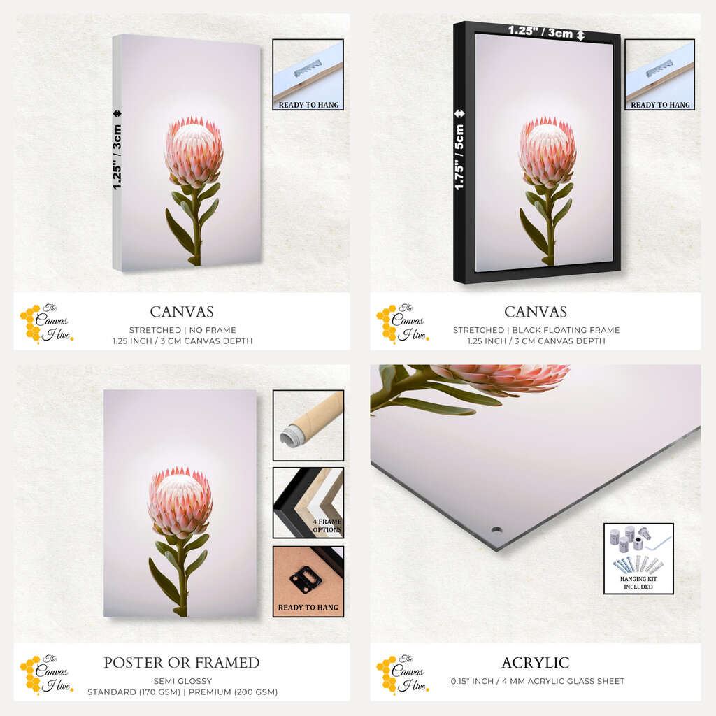 Botanical Beauty | Australiana Wall Art Prints - The Canvas Hive