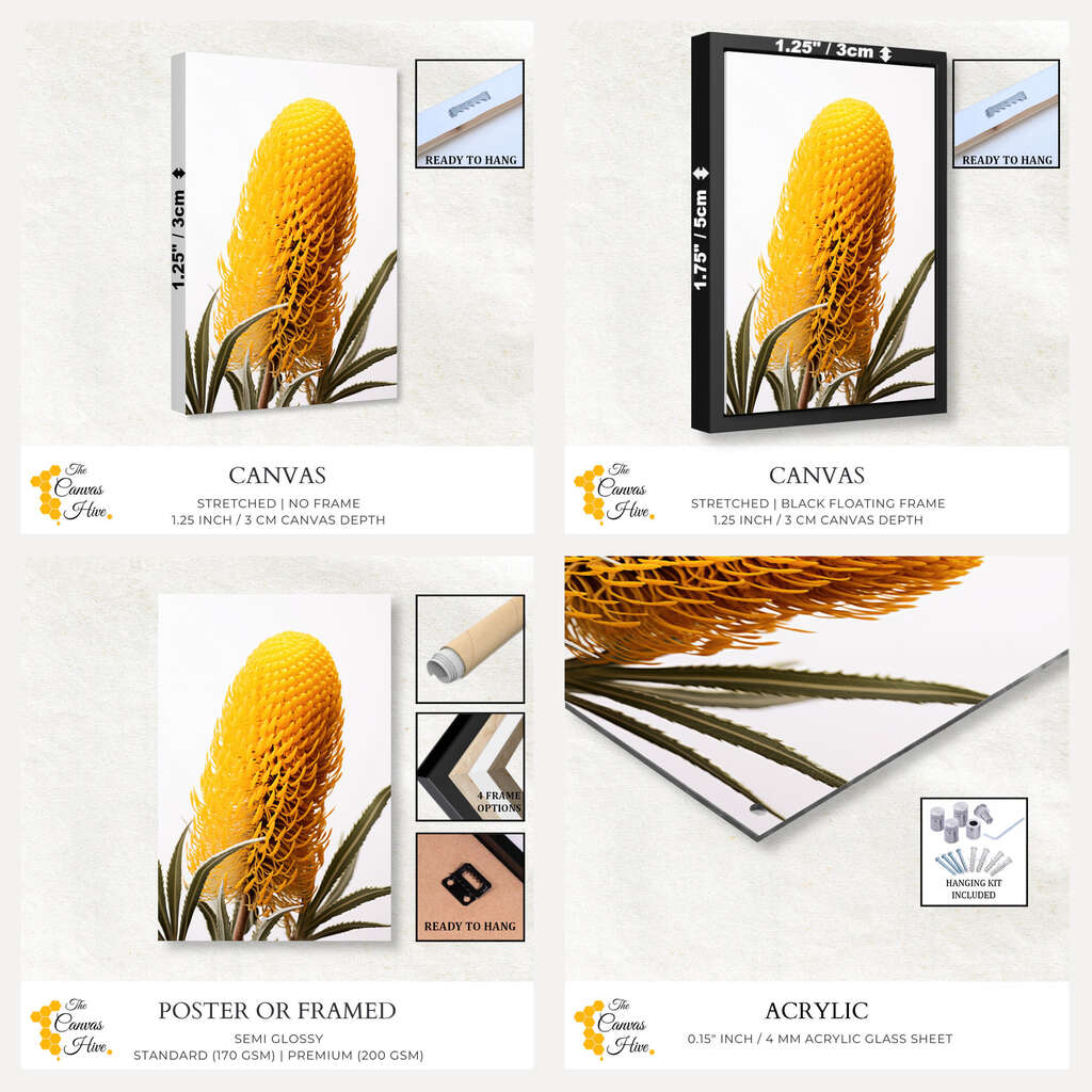 Botanical Beauty | Australiana Wall Art Prints - The Canvas Hive