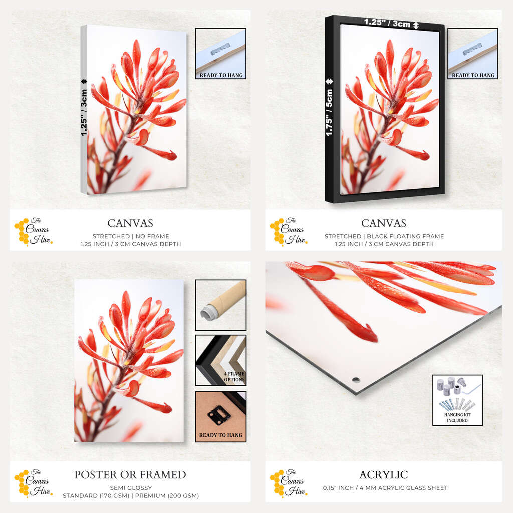 Botanical Beauty | Australiana Wall Art Prints - The Canvas Hive