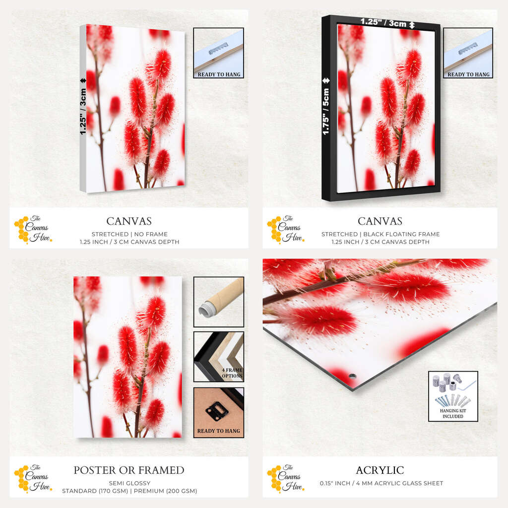 Captivating Australian Native Bottlebrushes Print | Australiana Wall Art Prints - The Canvas Hive