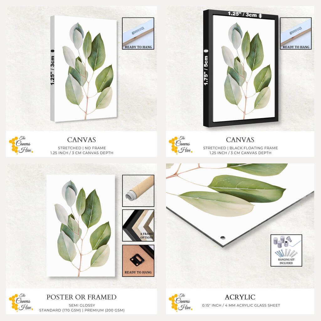 Eucalyptus Leave in Watercolour | Australiana Wall Art Prints - The Canvas Hive