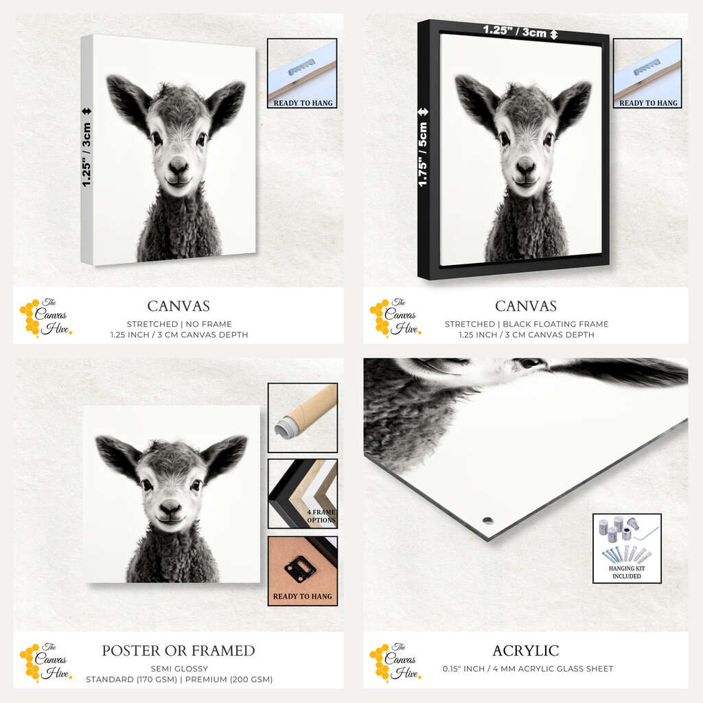 Farm Baby Animal Lamb Black & White | Nursery Wall Art Prints - The Canvas Hive