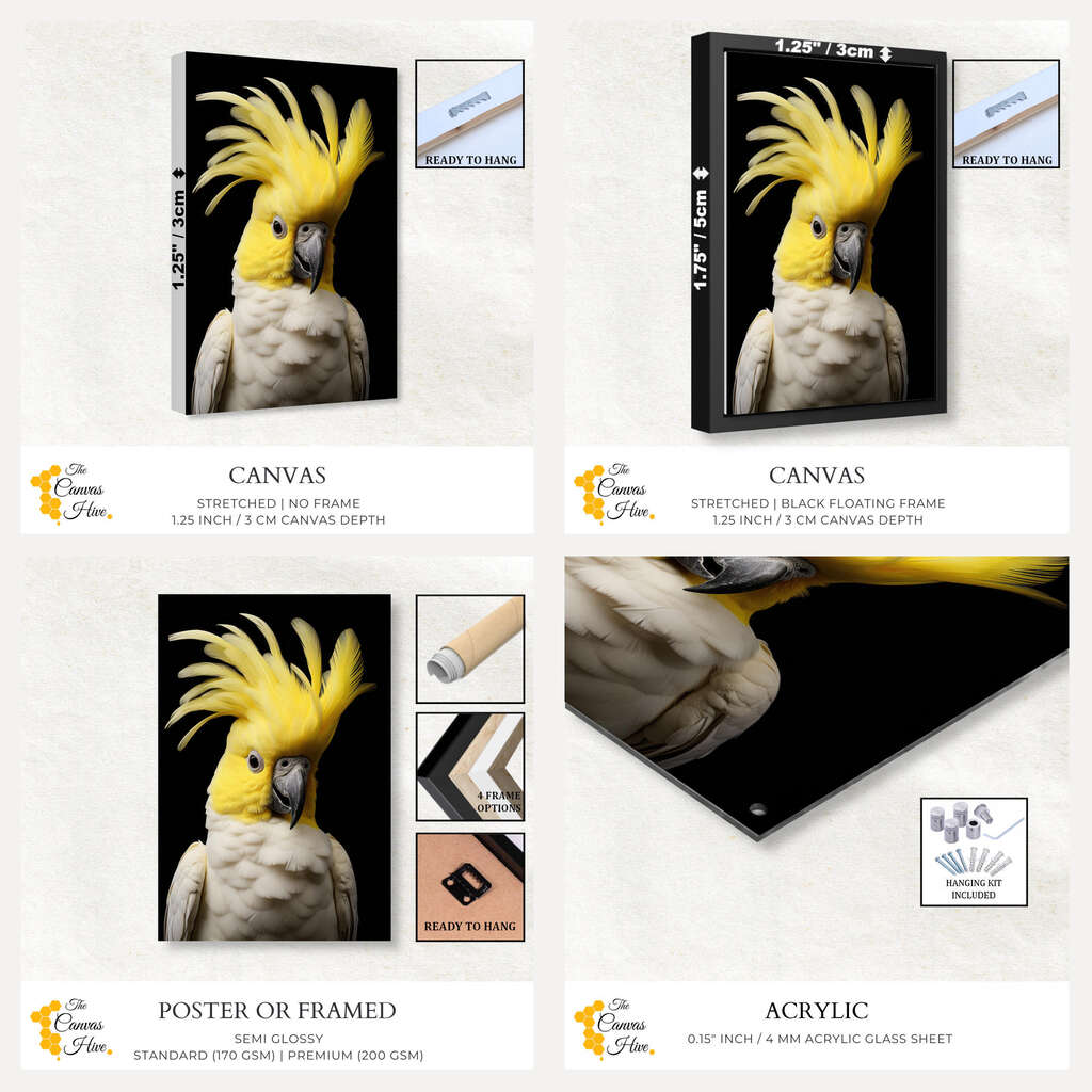 Native Australian Cockatoo in Radiant Contrast | Australiana Wall Art Prints - The Canvas Hive