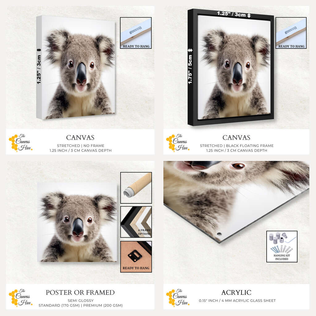 Portrait of a Koala | Australiana Wall Art Prints - The Canvas Hive