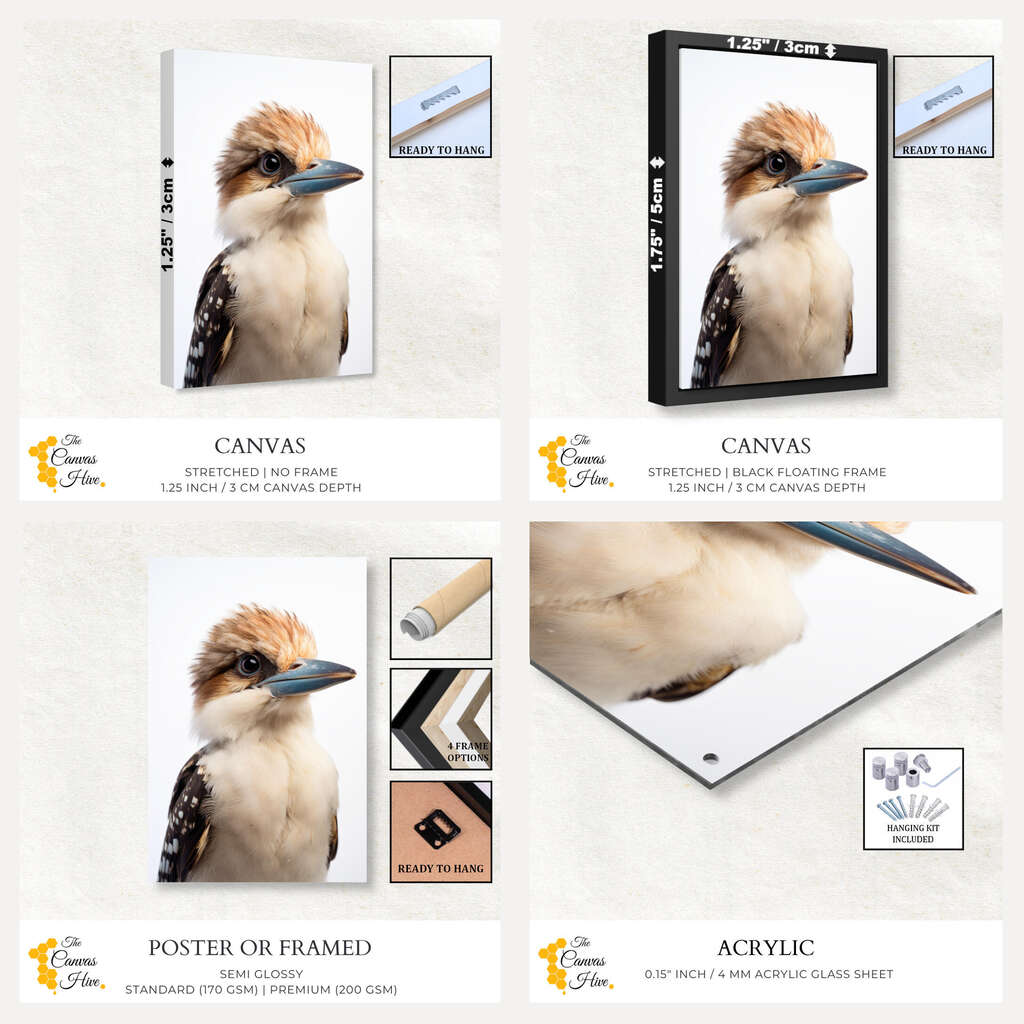 Portrait of a Kookaburra | Australiana Wall Art Prints - The Canvas Hive