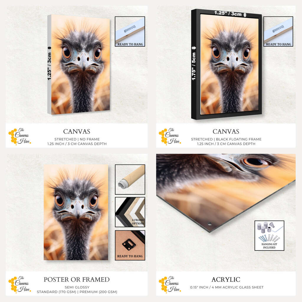Portrait of an Emu | Australiana Wall Art Prints - The Canvas Hive