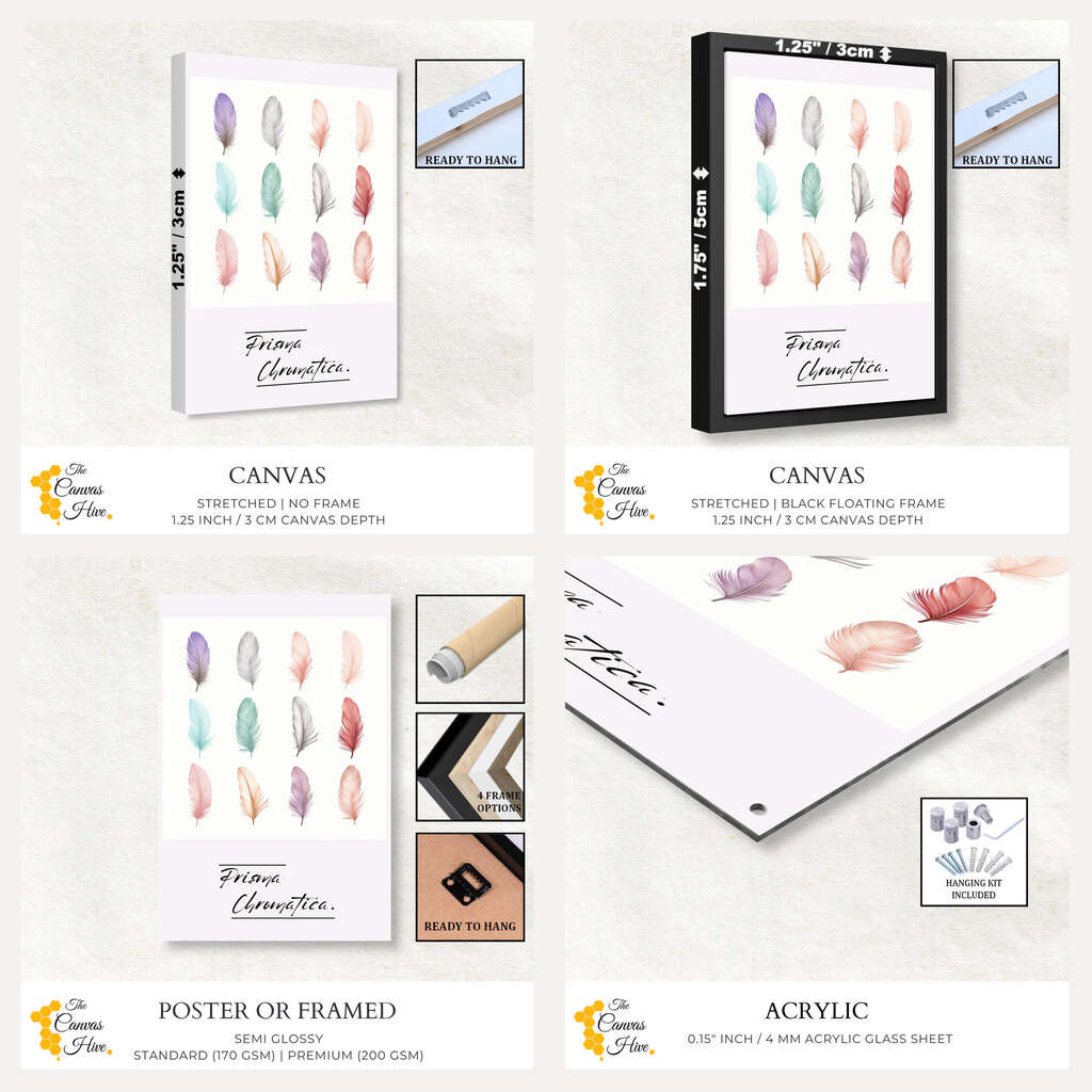 Prisma Chromatica Feathers | Minimalist Wall Art Prints - The Canvas Hive