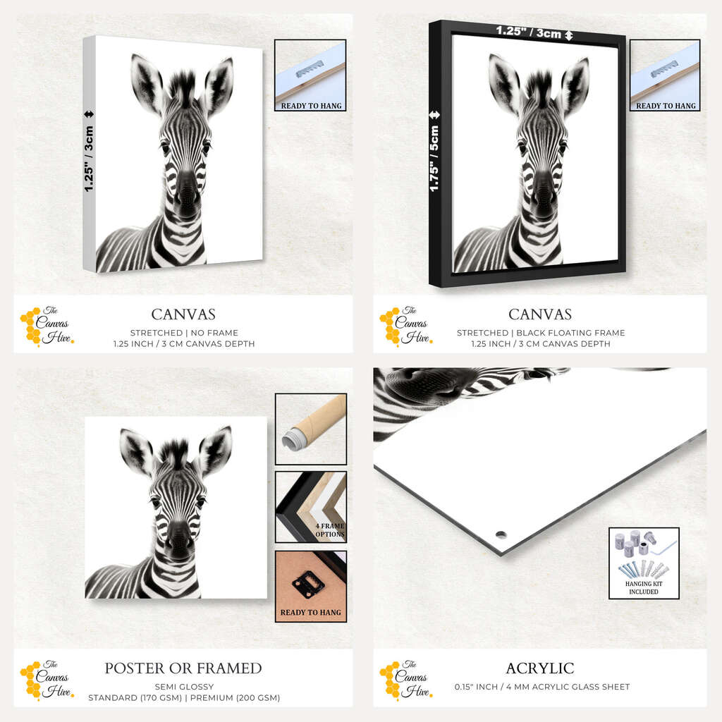 Safari Baby Animal Zebra Black & White | Nursery Wall Art Prints - The Canvas Hive