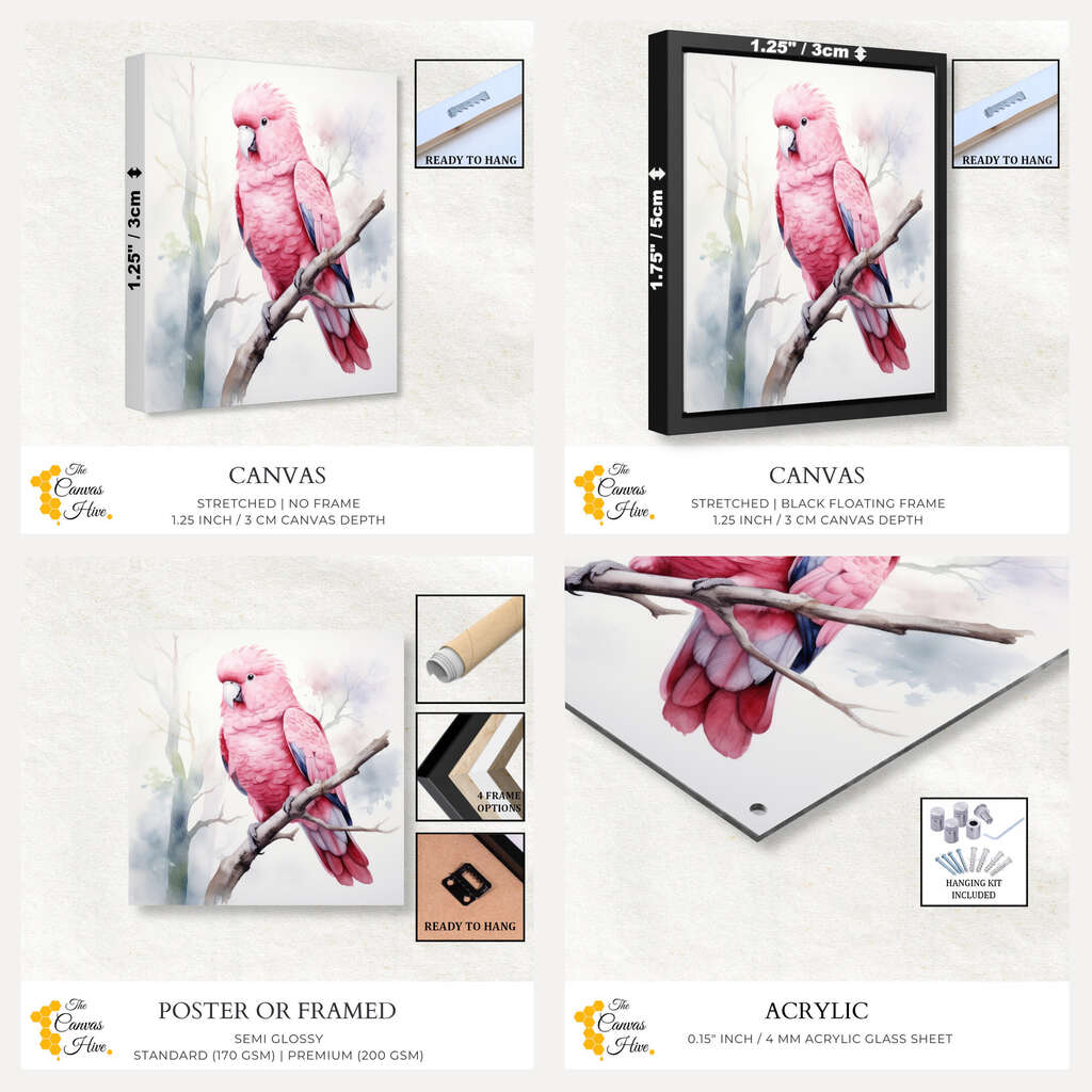 Vibrant Australian Birds : Galah Watercolor | Australiana Wall Art Prints - The Canvas Hive