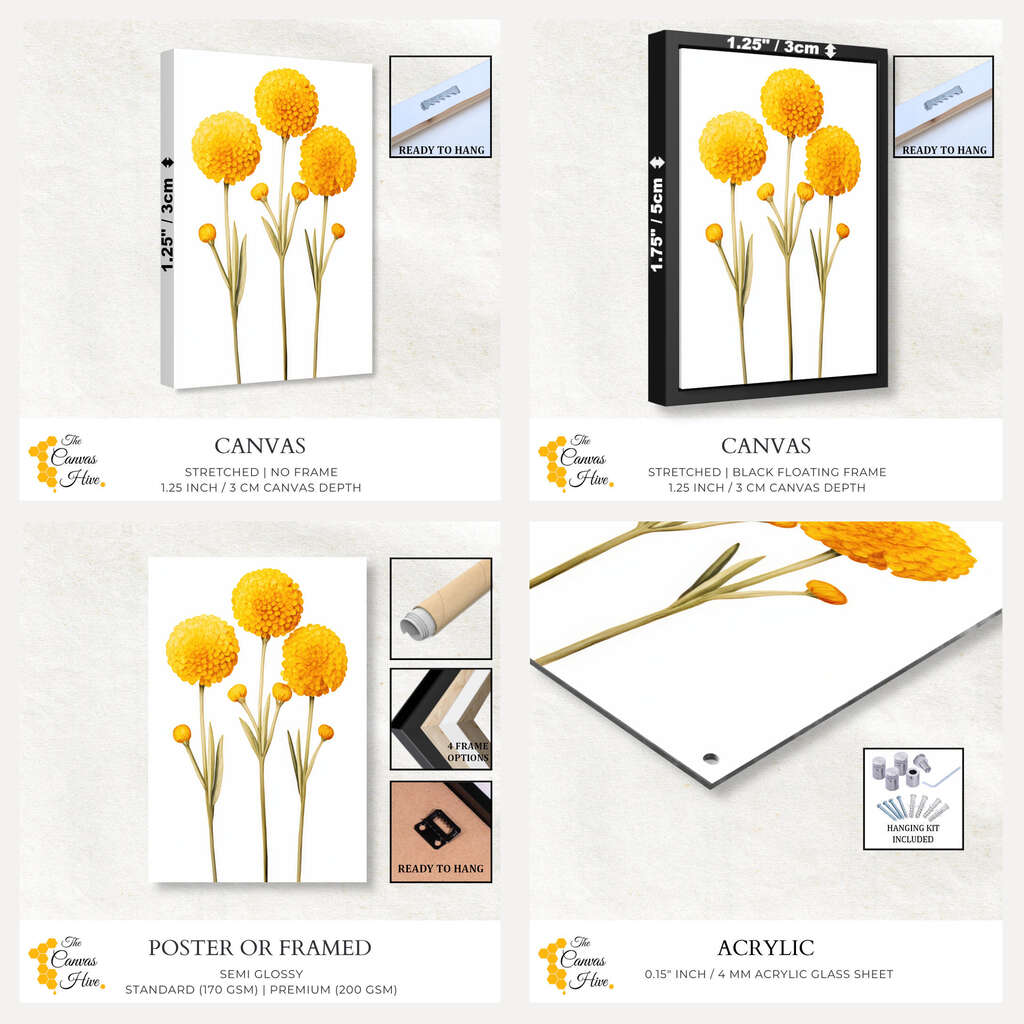 Yellow Billy Button Blooms Print | Australiana Wall Art Prints - The Canvas Hive